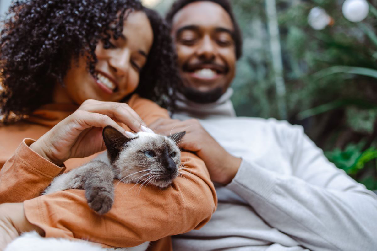 Couple smiling while holding a cat.