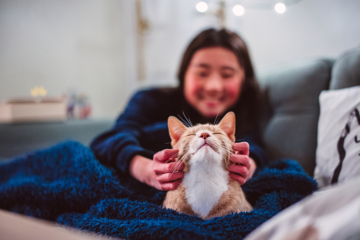 Girl smiling while petting a relaxed cat wrapped in a cozy blanket on a couch.