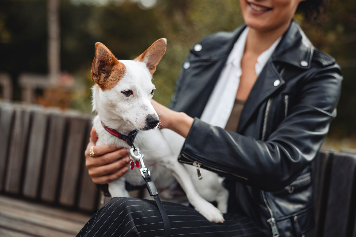 Femme en veste de cuir tenant un petit chien sur un banc.