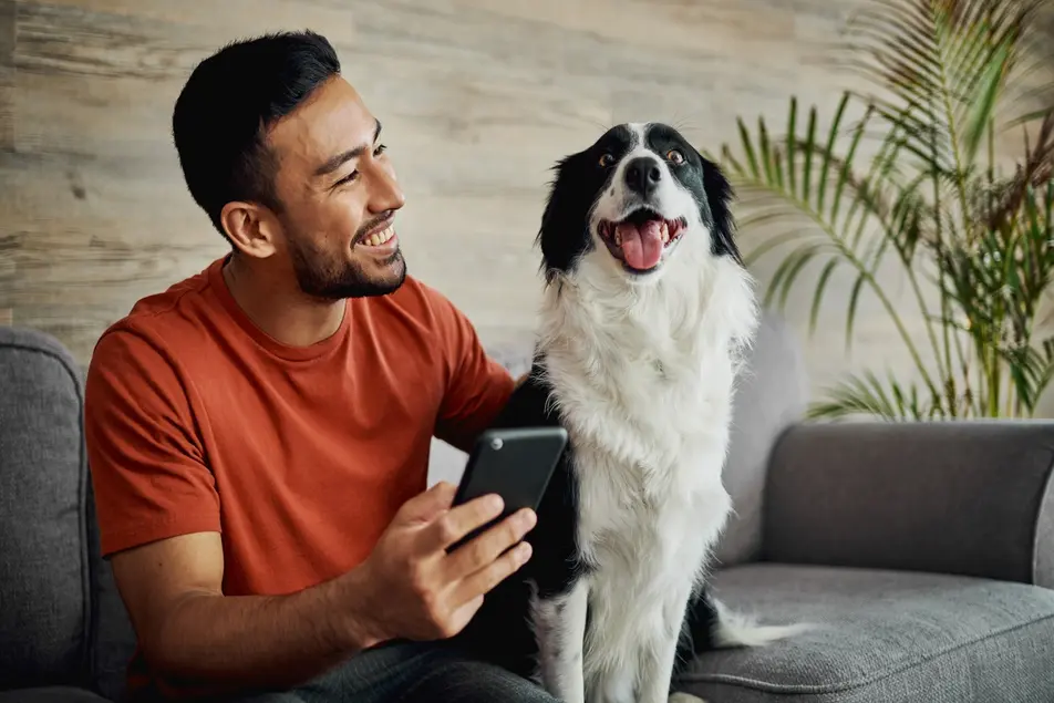 Dog health and care