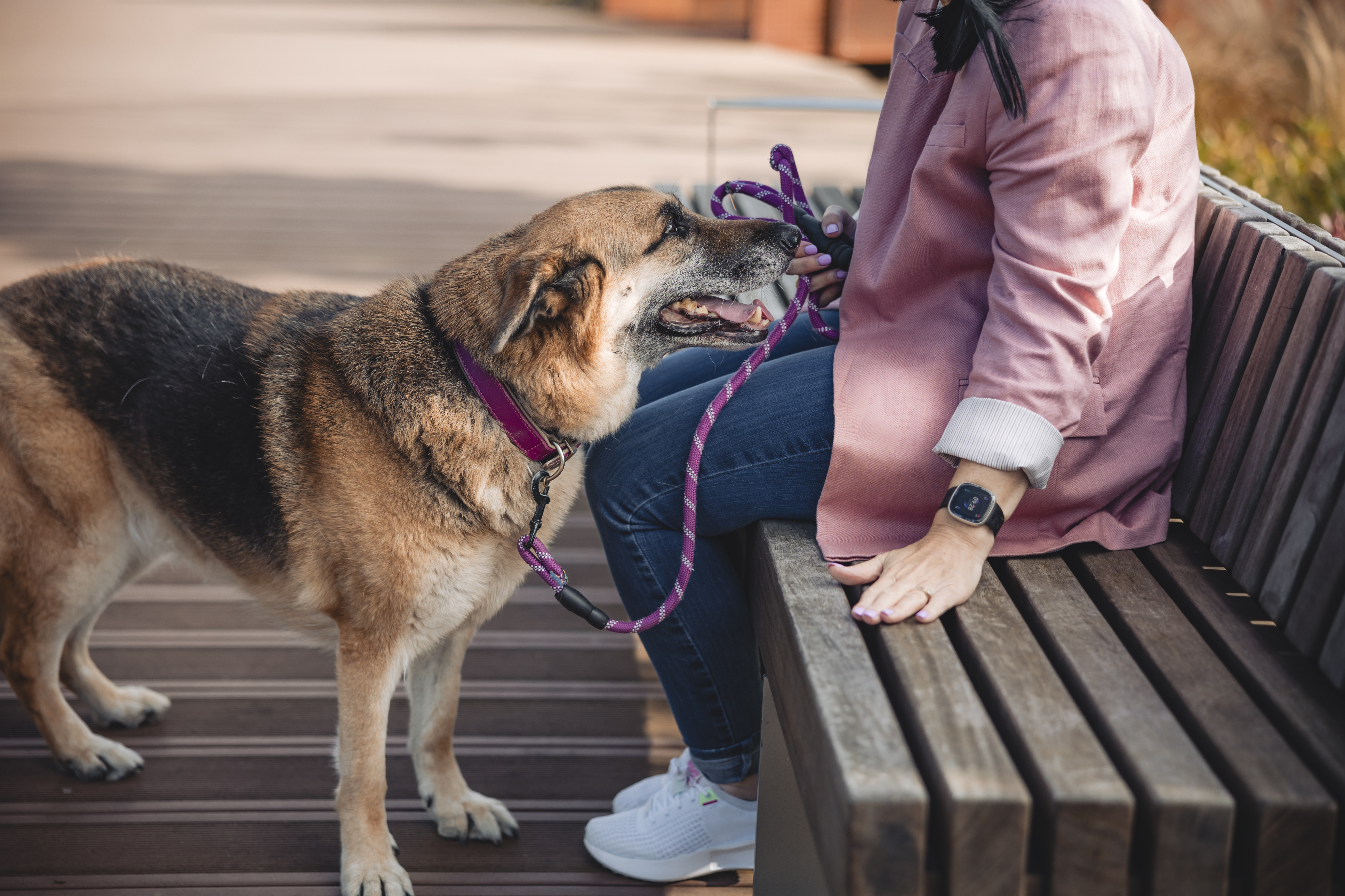 Dog health and care