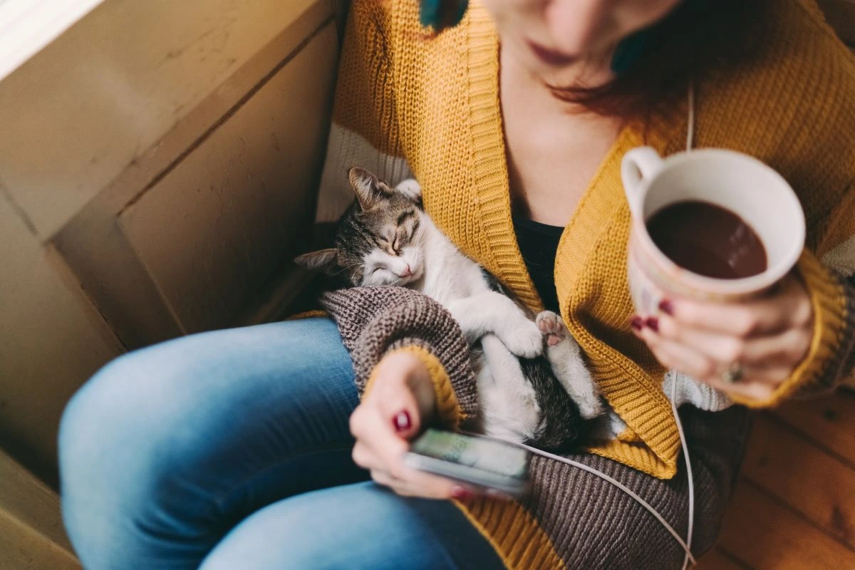 Une personne tient une tasse avec un chat endormi sur les genoux et un téléphone à la main.