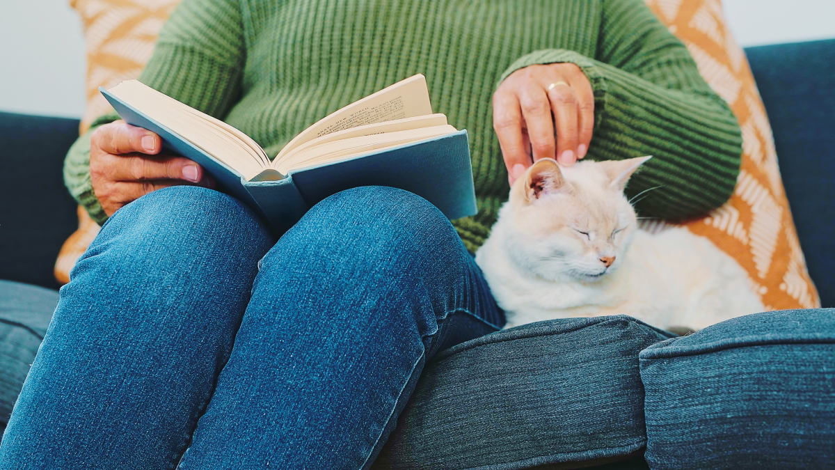 Person reading book, petting sleeping cat on lap.