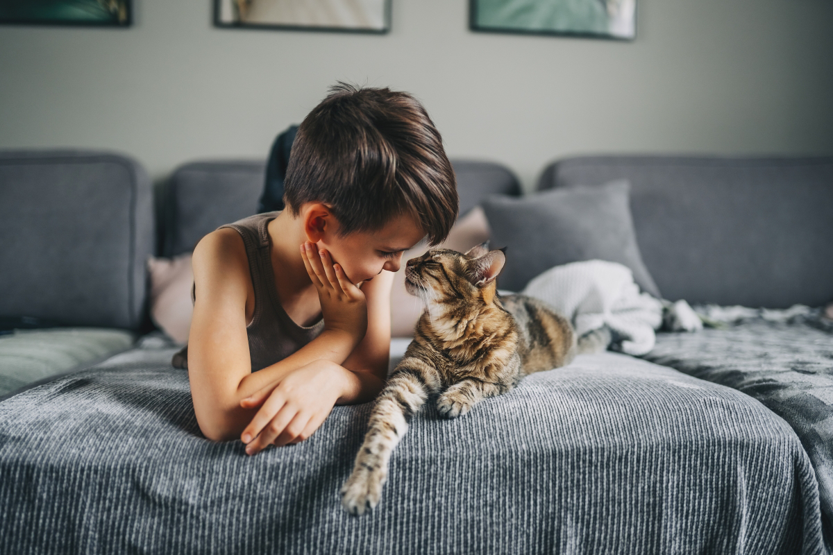 Child and cat touching noses on a sofa.