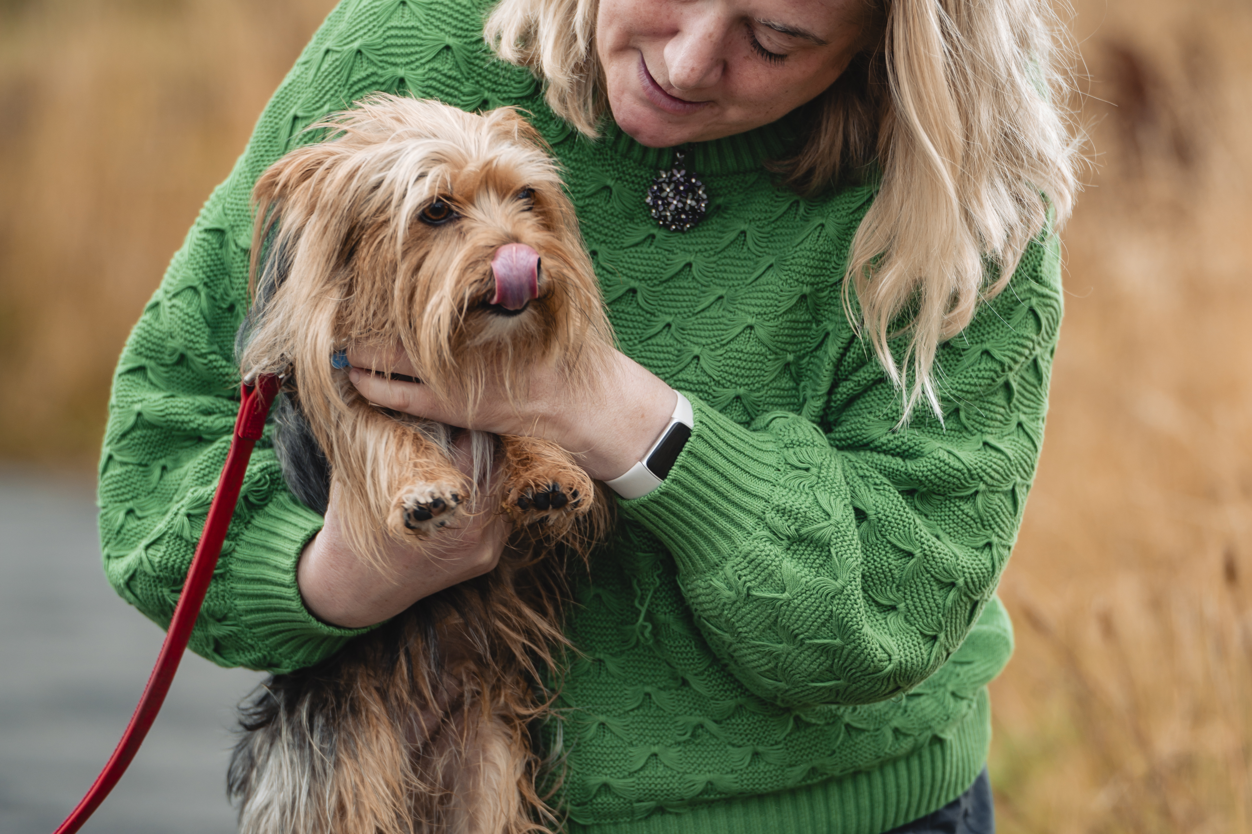 Frau im grünen Pullover hält einen kleinen Hund, der sich über die Nase leckt.