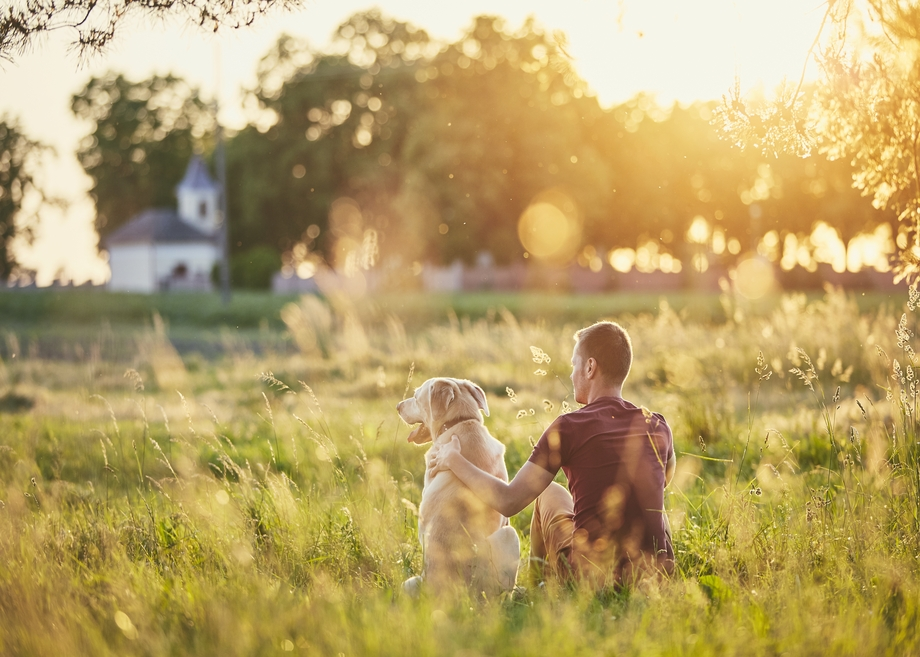 Man sitting with dog in a sunny field.