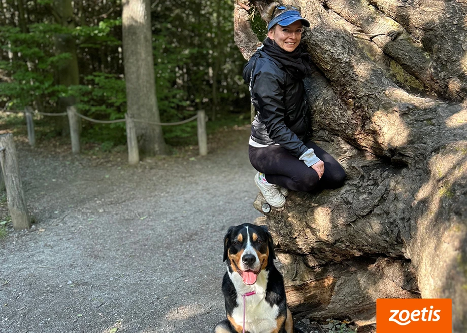 Eine Frau lehnt mit einem Großen Schweizer Sennenhund an einem Baum auf einem Waldweg, Zoetis-Logo an der Ecke
