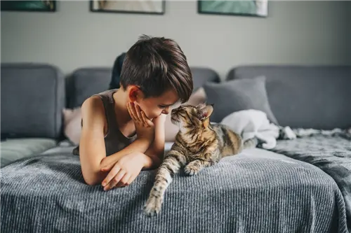 Child and cat touching noses on a sofa.