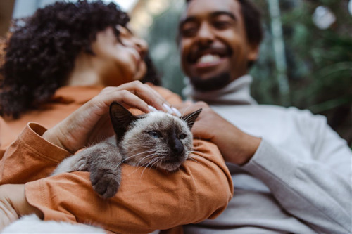 Couple smiling while holding a cat.