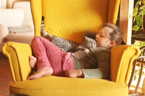 Girl napping with a cat on a yellow chair.