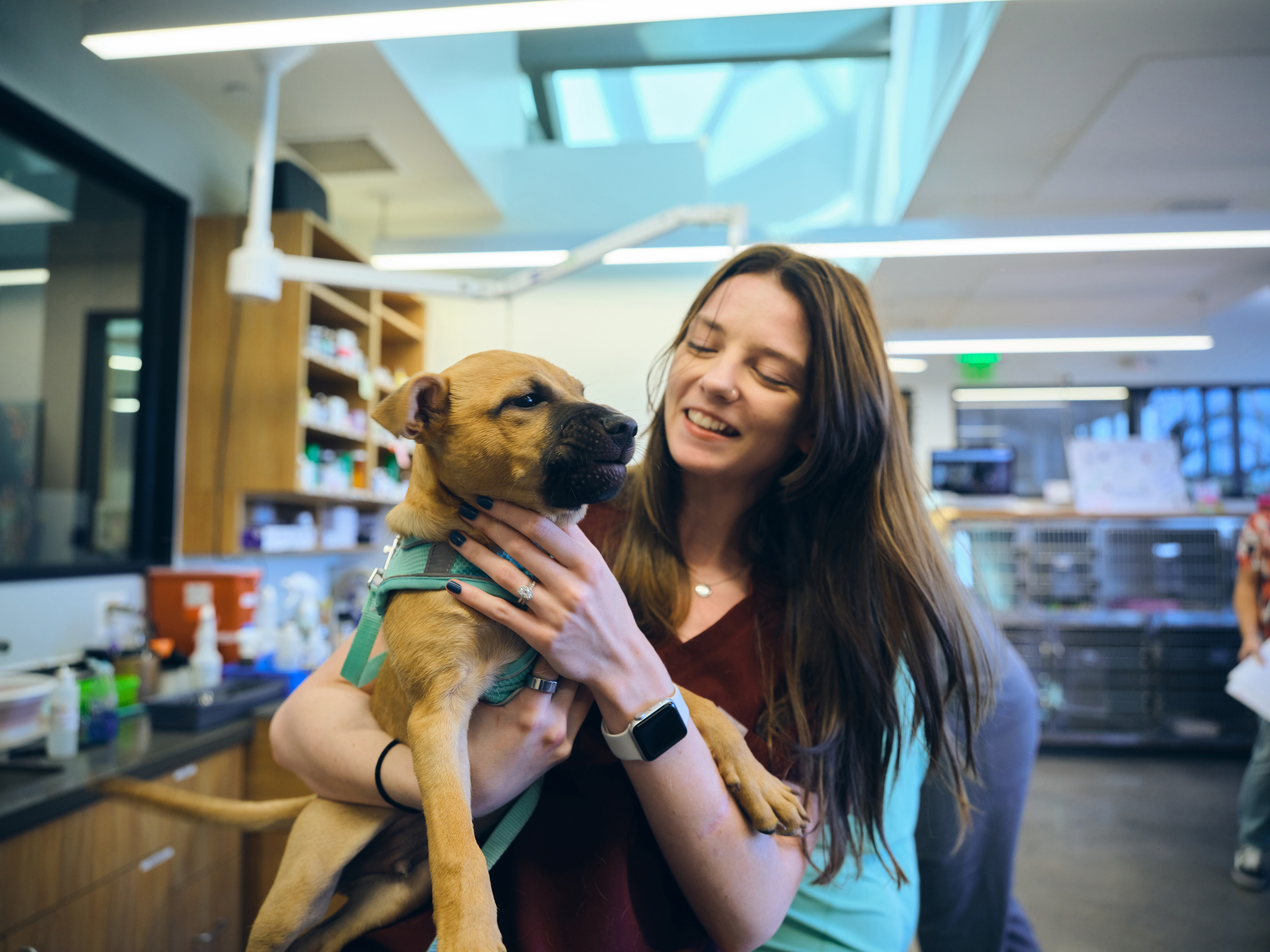 Amici Pet Hospital