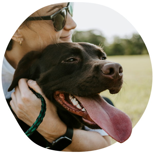 Happy dog after Apoquel allergy treatment