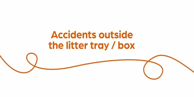 Text "Has accidents outside the litter tray / box" with orange swirl on white background.