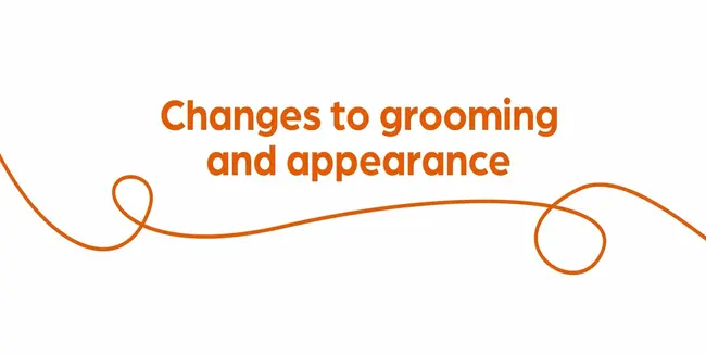 Text "Taking less care of fur (grooming themselves)" with orange swirl on white background.
