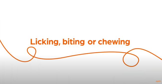 Text "Licking, biting or chewing" with orange swirl on white background.