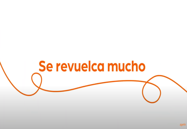 Texto "Se revuelca mucho" con espiral naranja sobre fondo blanco.