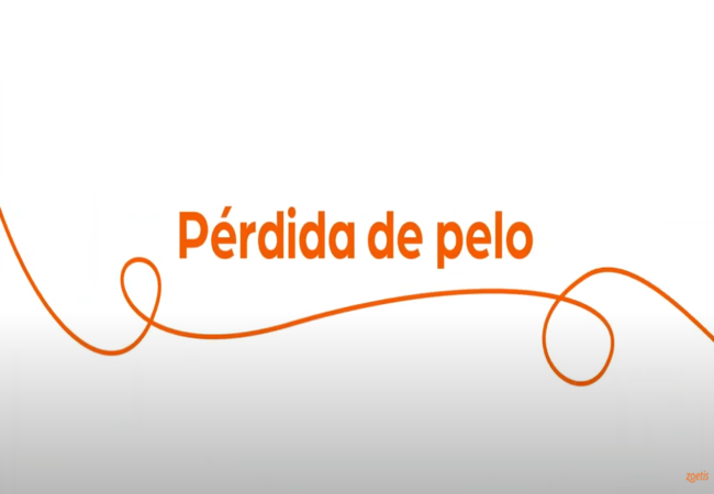 Texto "Pérdida de pelo" con espiral naranja sobre fondo blanco.