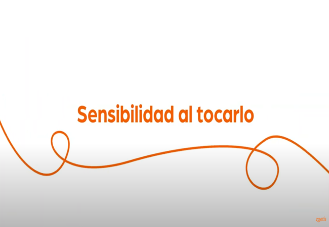 Texto "Sensibilidad al tocarlo" con espiral naranja sobre fondo blanco.