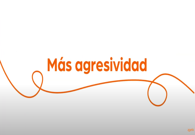 Texto "Más agresividad" con espiral naranja sobre fondo blanco.