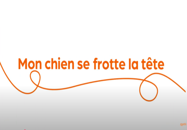 Texte « Mon chien se frotte la tête » avec une spirale orange sur fond blanc.