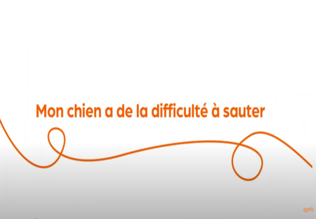 Texte « Mon chien traîne lors des promenades » avec une spirale orange sur fond blanc.