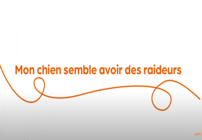 Texte « Mon chien a de la difficulté à sauter» avec une spirale orange sur fond blanc.