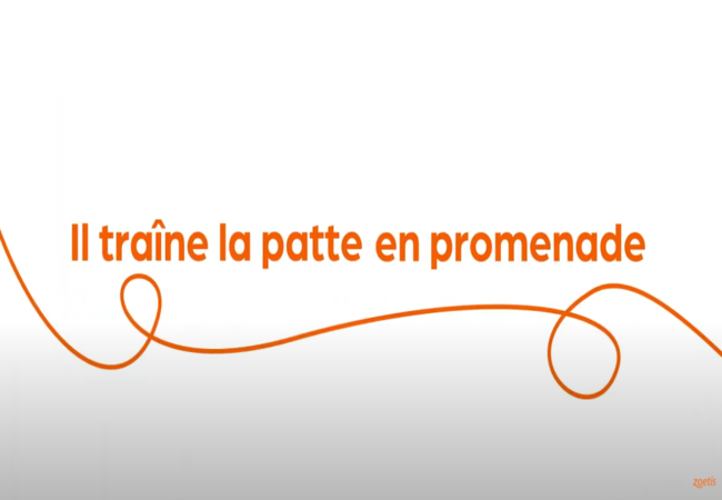 Texte « Il est à la traîne en promenade » avec une spirale orange sur fond blanc.
