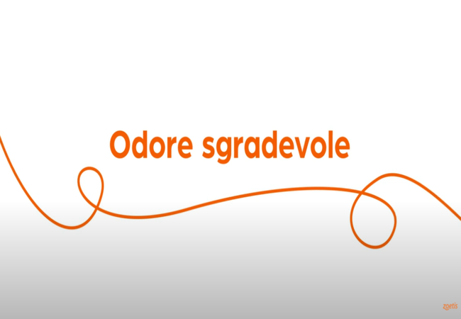 Testo "Odore sgradevole" con vortice arancione su sfondo bianco.
