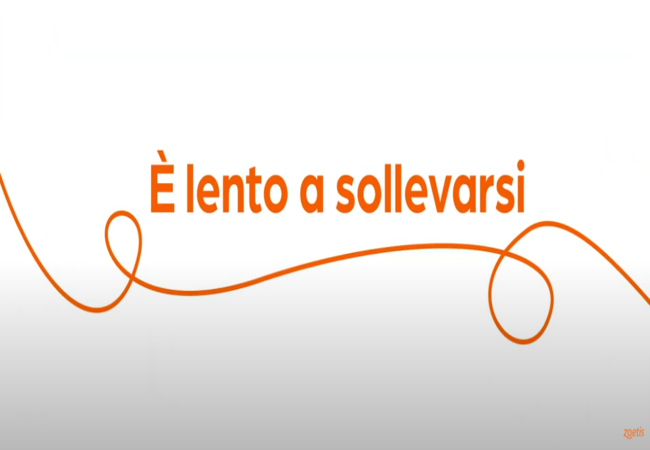 Testo "Lentezza a sollevarsi" con vortice arancione su sfondo bianco.