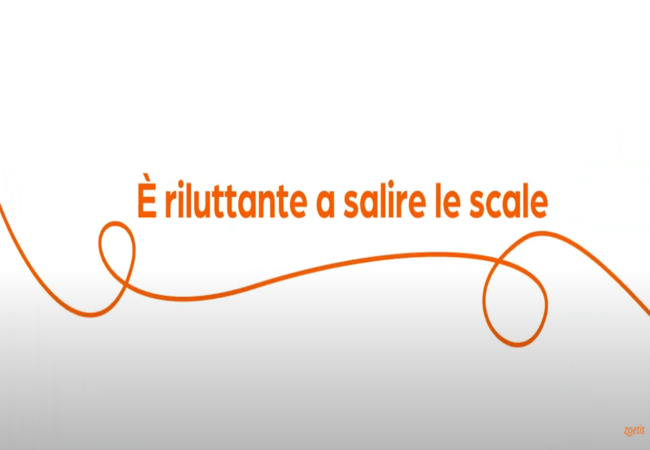 Testo "È riluttante a salire le scale" con vortice arancione su sfondo bianco.