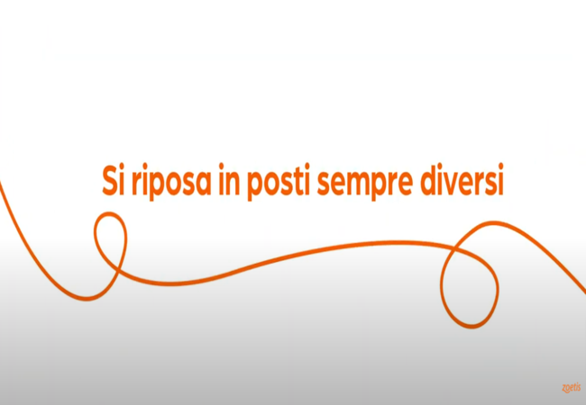 Testo "Si riposa in posti sempre diversi" con vortice arancione su sfondo bianco.