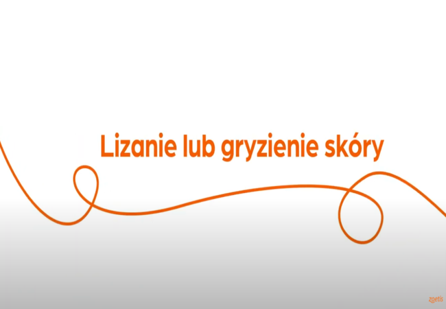 Tekst „Lizanie lub gryzienie skóry” z pomarańczową spiralą na białym tle.