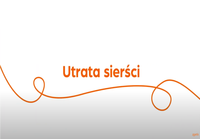 Tekst „Utrata sierści" z pomarańczową spiralą na białym tle.