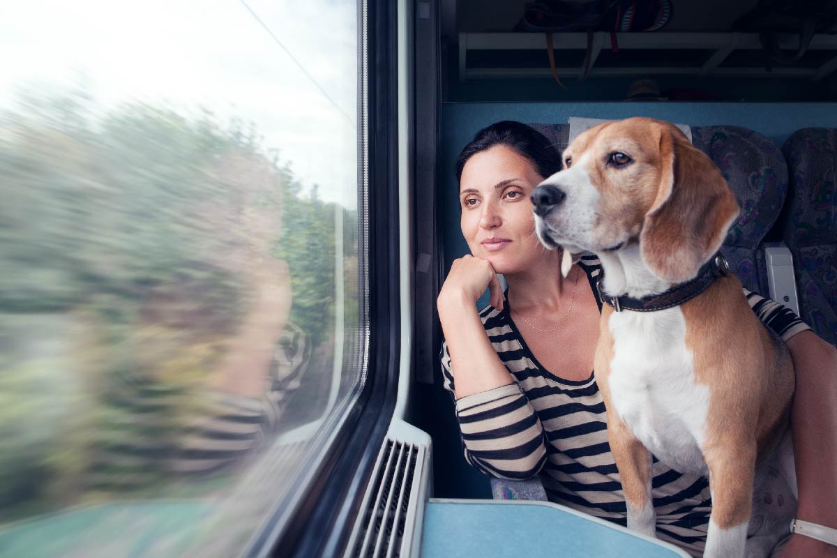 Indian woman is travelling with her Beagle dog
