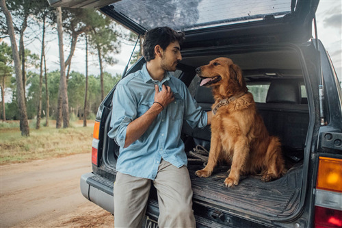 Indian guy has his golden retriever on his trunk