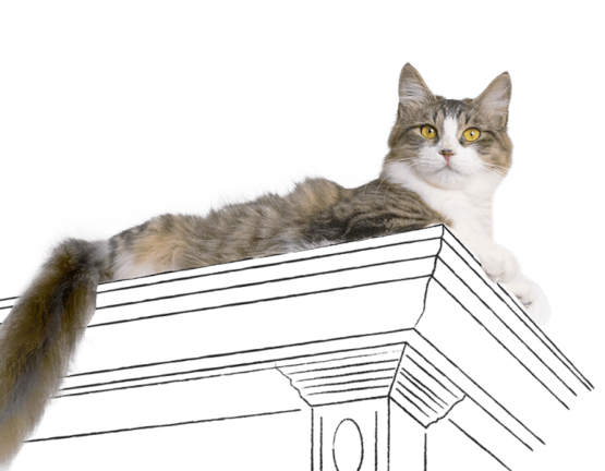 Cat lounging on an illustrated surface.