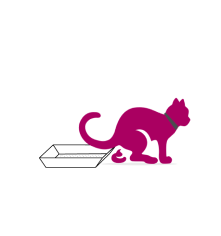 Cat litter icon