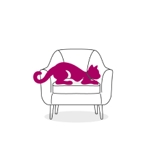 Trouble sleeping cat icon