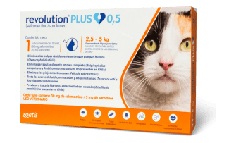 Revolution Plus packshot